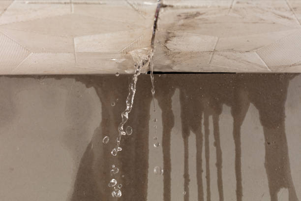 Professional Structural Drying technician working in Roscoe, PA